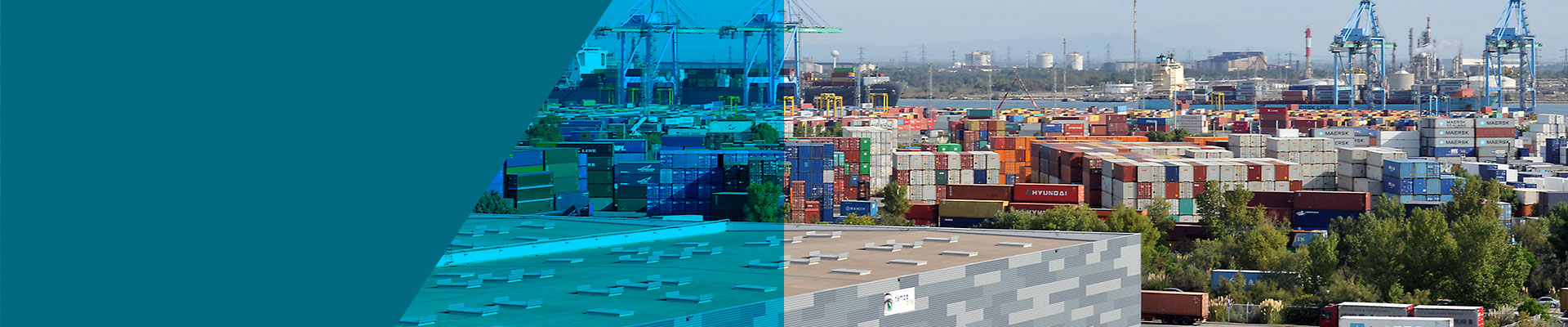 Multi-purpose port