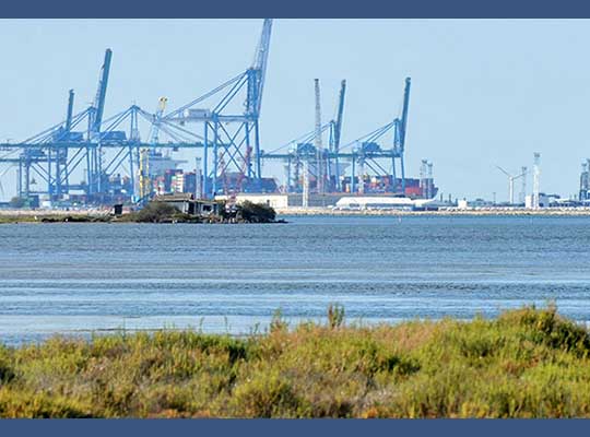 The Port of Marseille Fos, a player in biodiversity on its 2,500 hectares of protected natural areas