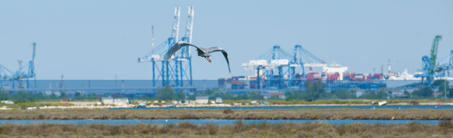 BANNER_PORT_VERT_LARGE.jpg