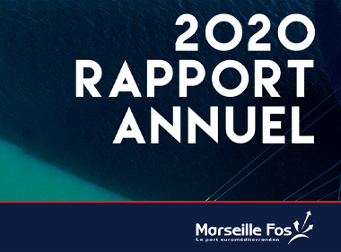 Rapport Annuel 2020